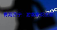 青海西宁：游客参观主题集邮展
